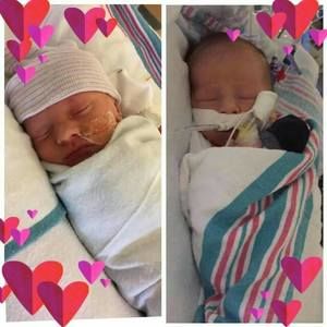 Meet your Posher, Lupe